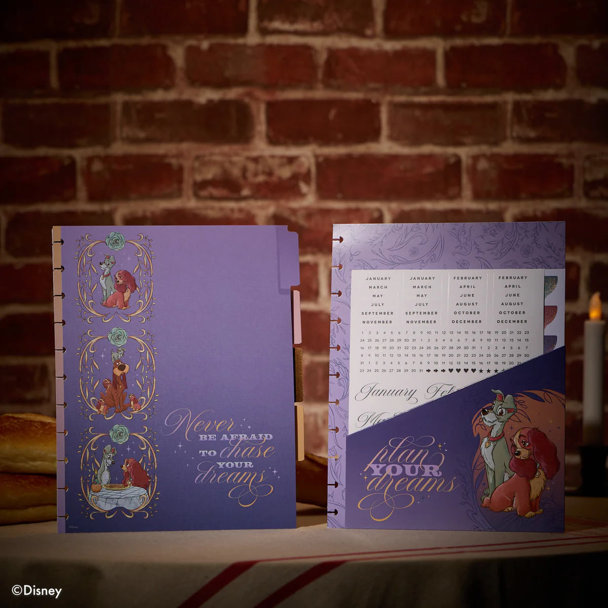 Disney Lady & The Tramp - Big Dashboard Extension Pack - 4 Months - Image 2