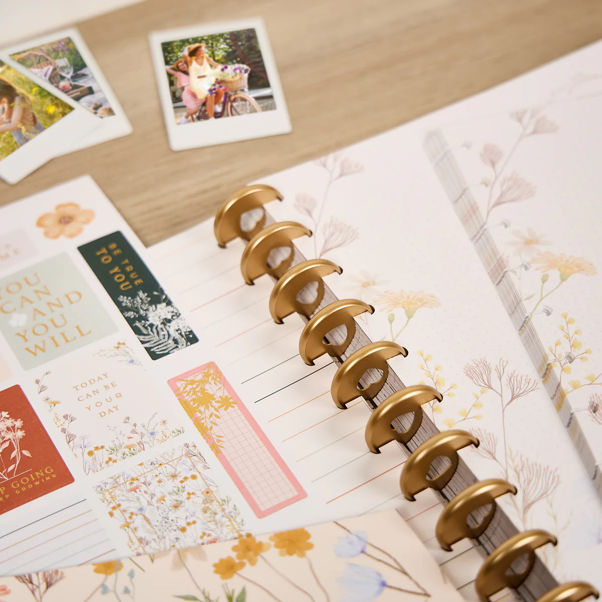 Spring Fields - Big Accessory Pack - Image 17