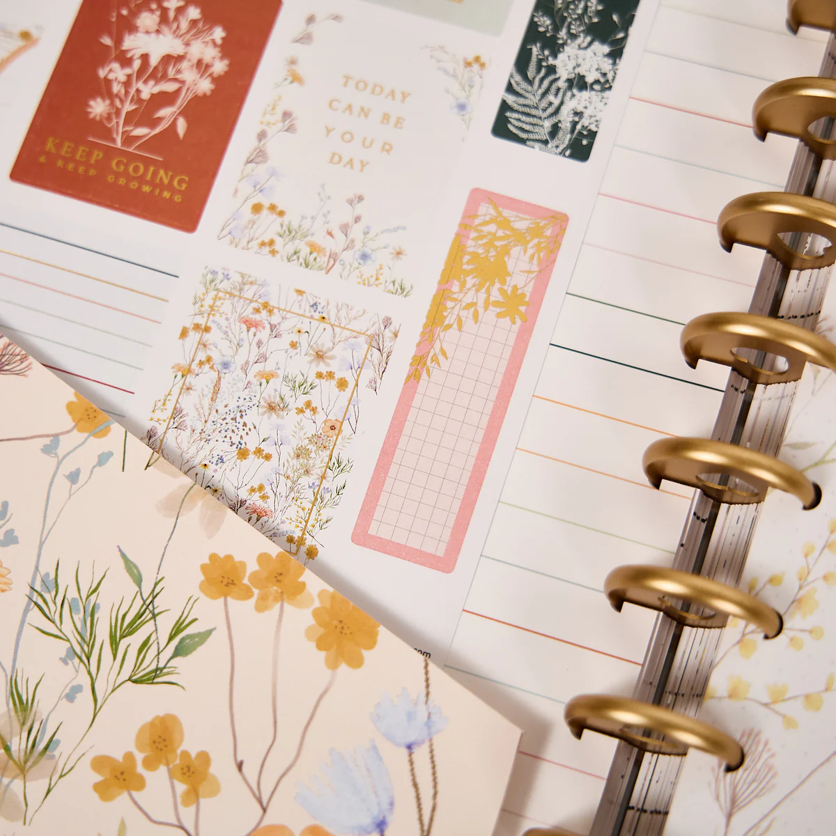 Spring Fields - Big Accessory Pack - Image 7
