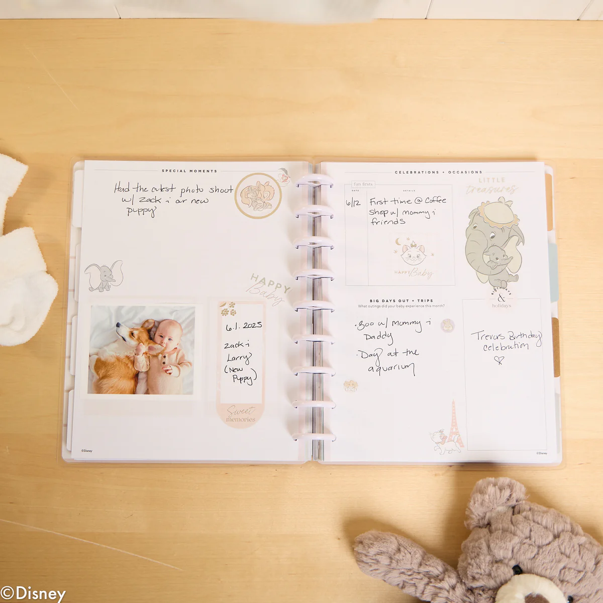 Undated Disney Welcome Little One Customizable Baby Planner - Classic Baby's First Year Layout - 12 Months - Image 28
