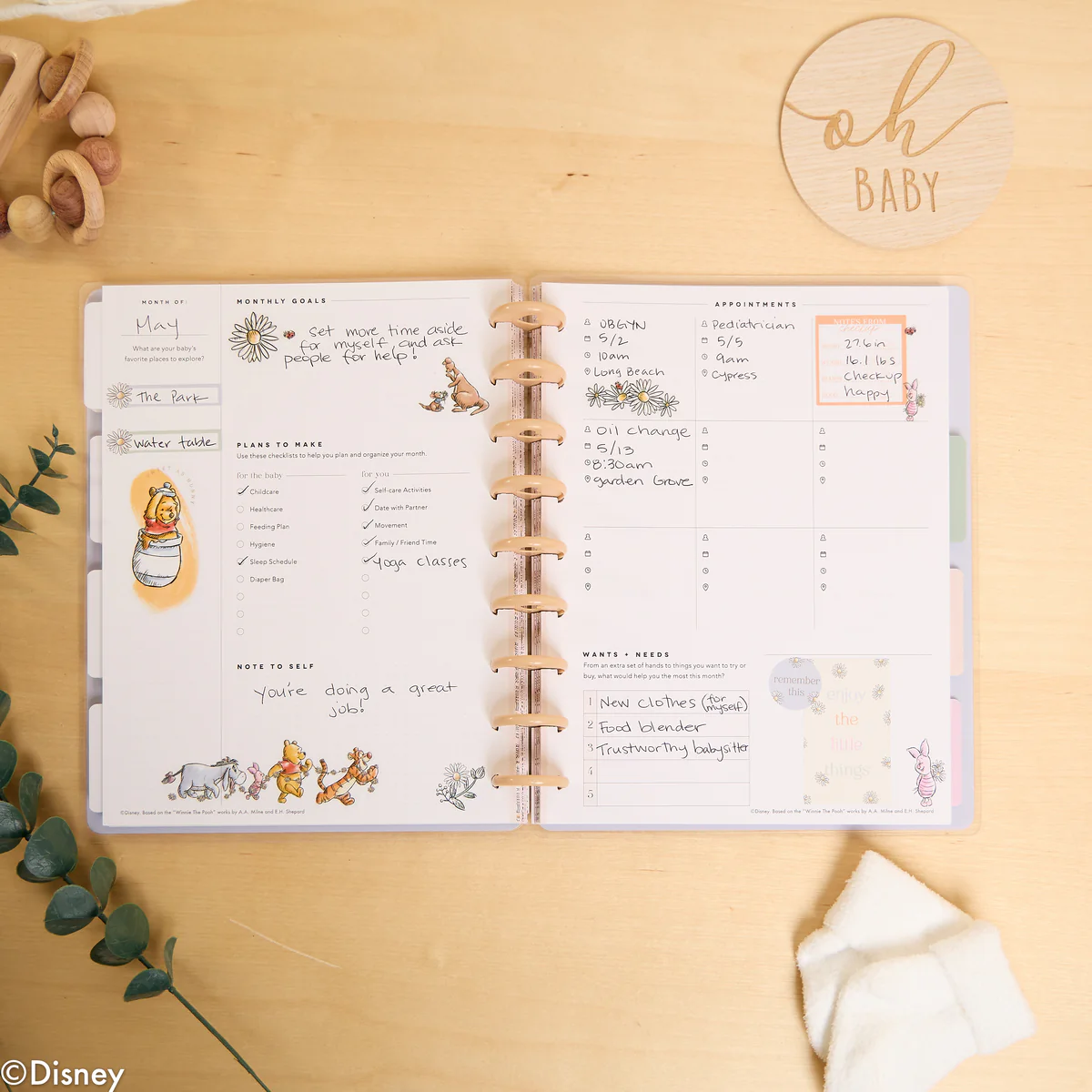 Undated Disney Winnie the Pooh Customizable Baby Planner - Classic Baby's First Year Layout - 12 Months - Image 27