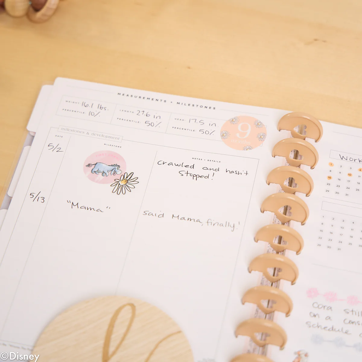 Undated Disney Winnie the Pooh Customizable Baby Planner - Classic Baby's First Year Layout - 12 Months - Image 31