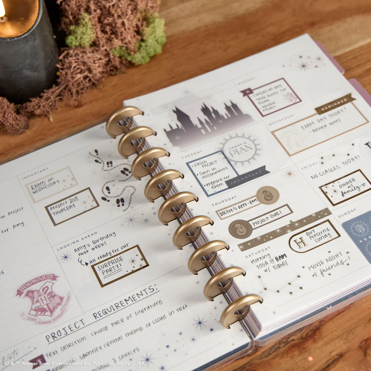 Undated Harry Potter Customizable Planner - Classic Dashboard Layout - 12 Months - Image 2