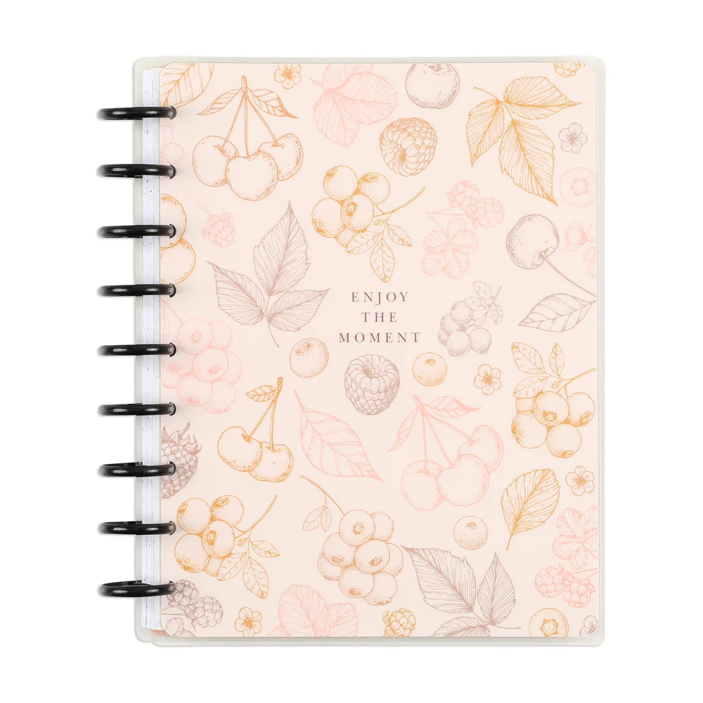 Undated Modern Farmhouse Happy Planner - Classic Daily Layout - 4 Months